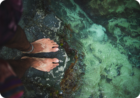 Reef Talk — Tips, Tricks & Ocean Insights